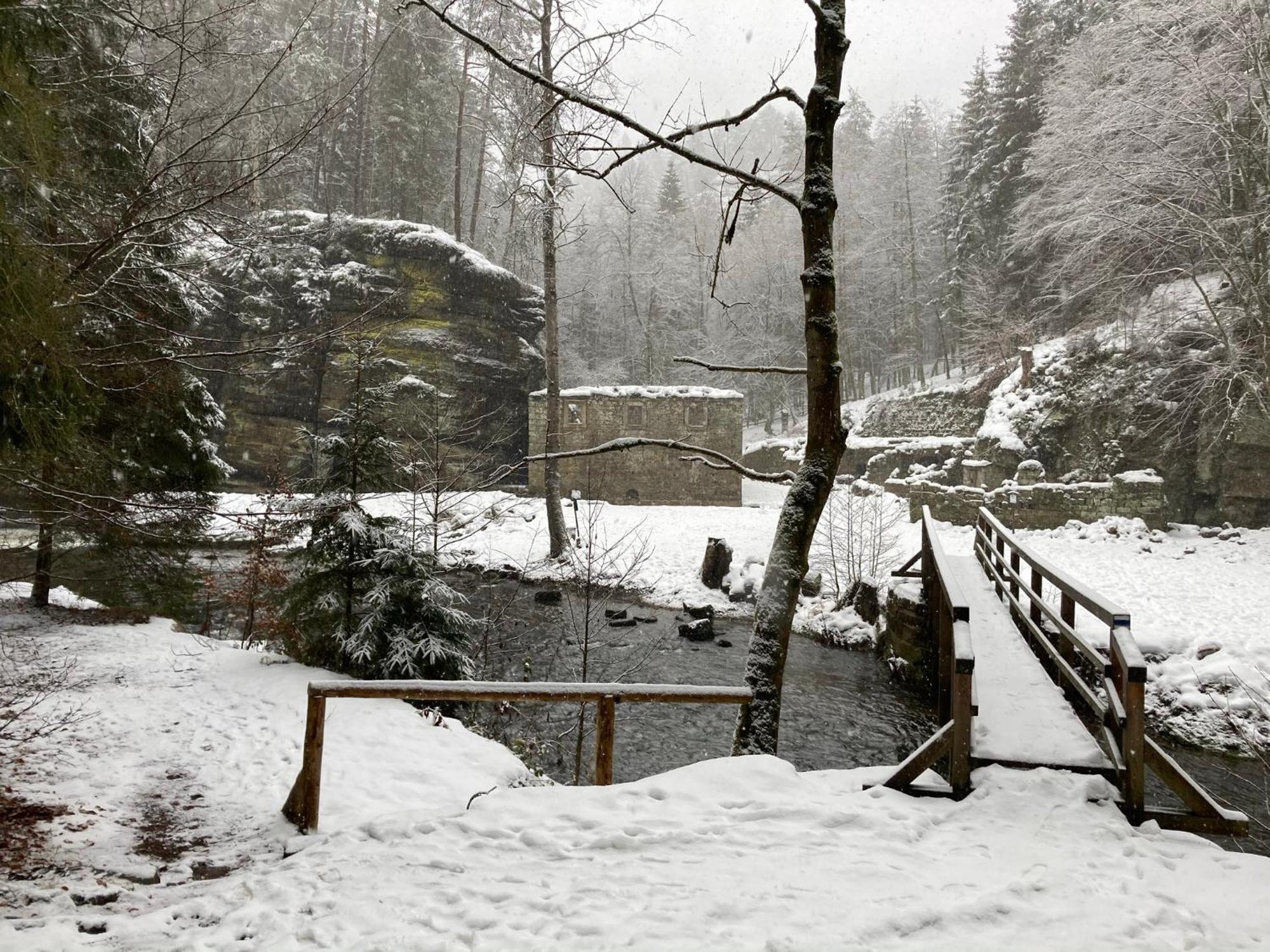 Pension Hofberg Jetřichovice 外观 照片