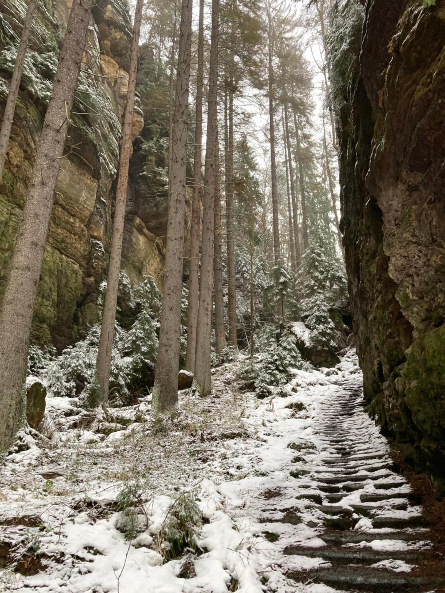Pension Hofberg Jetřichovice 外观 照片