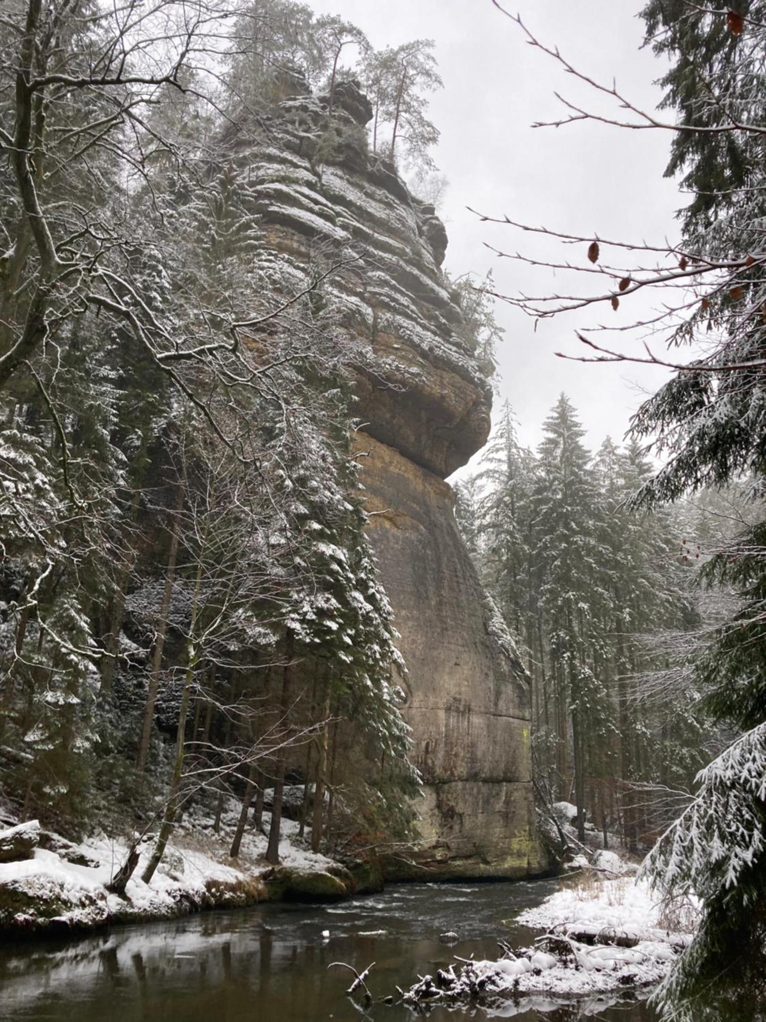 Pension Hofberg Jetřichovice 外观 照片